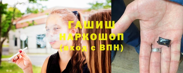 индика Осташков