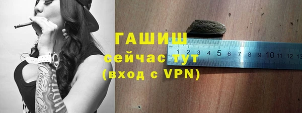 индика Осташков