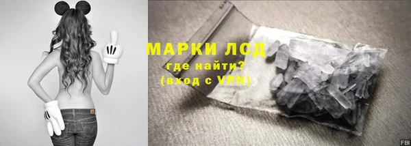 индика Осташков