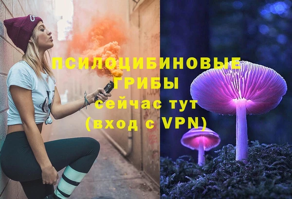 mix Осинники