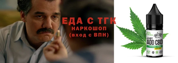 индика Осташков