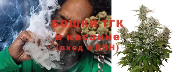 индика Осташков