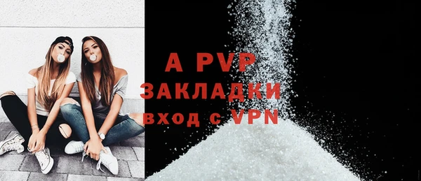индика Осташков