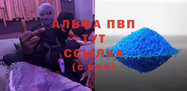 индика Осташков