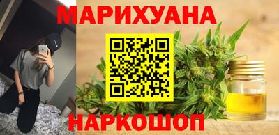 СК Бийск
