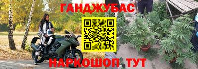 СК Бийск