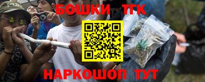 СК Бийск