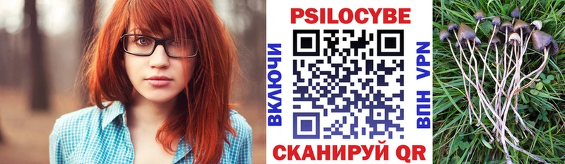 Псилоцибиновые грибы ЛСД  blacksprut ССЫЛКА  Воронеж 