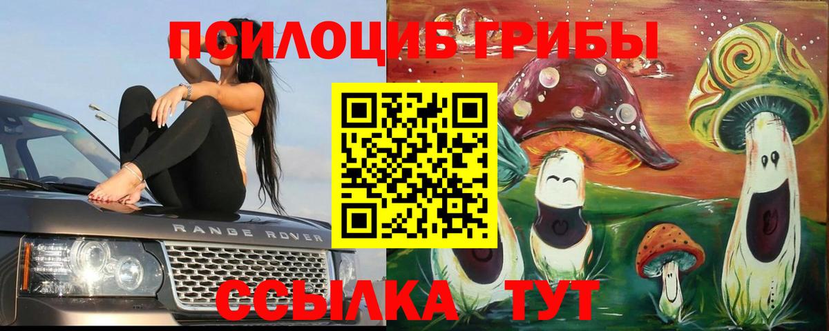 Галлюциногенные грибы Psilocybine cubensis  Вход с VPN  Воронеж 